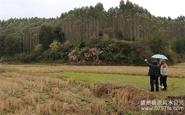 河东区陈老师带着爱徒寻龙点穴